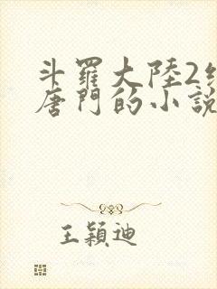 斗罗大陆2绝世唐门的小说封面