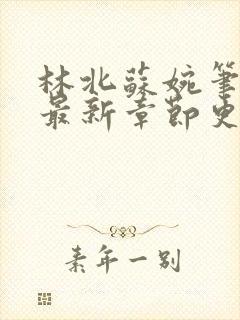 林北苏婉笔趣阁最新章节更新内容