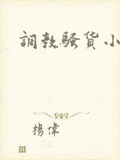 调教骚货小说h封面