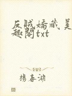 反贼娇藏美人笔趣阁txt