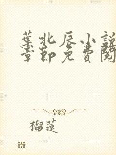 叶北辰小说最新章节免费阅读无弹窗