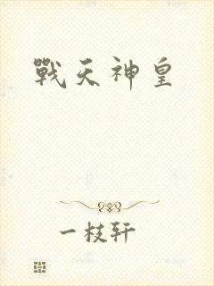 战天神皇封面
