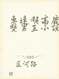 车速超高废文的双男主小说推荐短篇