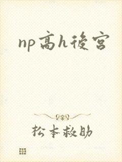 np高h后宫封面
