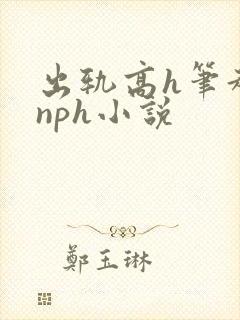 出轨高h笔趣阁nph小说封面