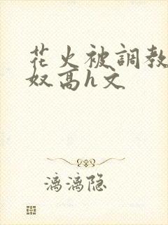 花火被调教成肉奴高h文