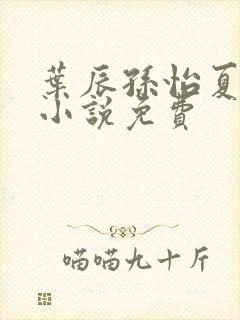 叶辰孙怡夏若雪小说免费