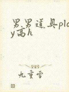 男男道具play高h