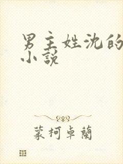 男主姓沈的现代小说