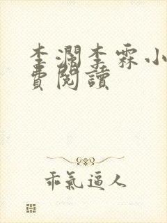 李澜李霖小说免费阅读