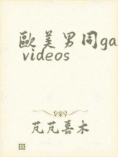 欧美男同gay videos