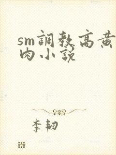 sm调教高黄纯肉小说