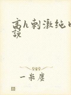 高h刺激纯肉小说封面