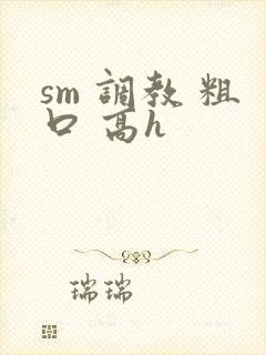 sm 调教 粗口 高h