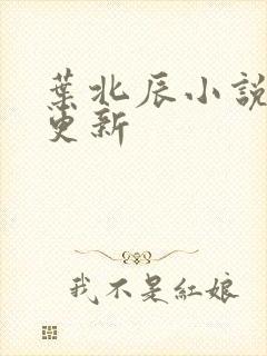 叶北辰小说最新更新封面