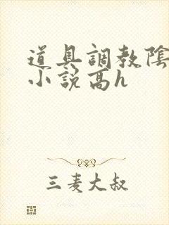 道具调教阴蒂黄小说高h