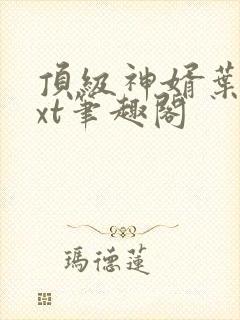 顶级神婿叶辰txt笔趣阁