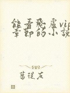 能看飞卢vip章节的小说软件