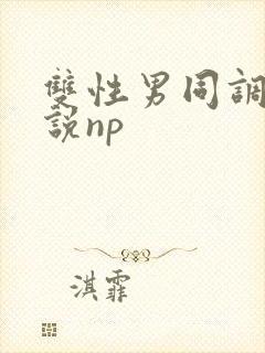 双性男同调教小说np