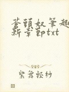 苍头奴笔趣阁最新章节txt封面