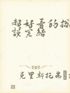 超好看的总裁小说完结封面