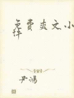 免费爽文小说软件