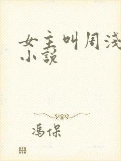 女主叫周浅浅的小说