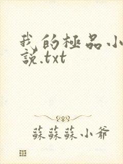 我的极品小姨小说.txt
