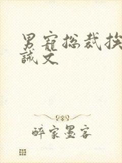 男宠总裁挨打训诫文