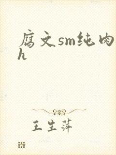 腐文sm纯肉高h