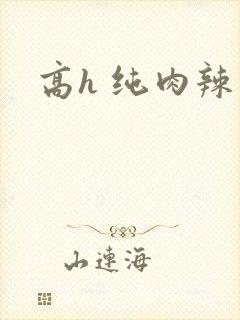 高h 纯肉辣文