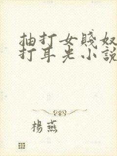 抽打女贱奴双乳打耳光小说