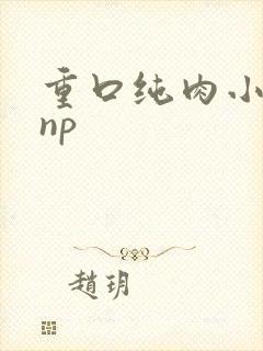 重口纯肉小说 np