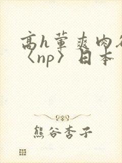 高h荤爽肉欲文〈np〉日本