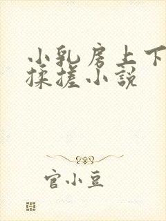 小乳房上下耸动揉搓小说