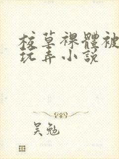 校草裸体被随意玩弄小说封面