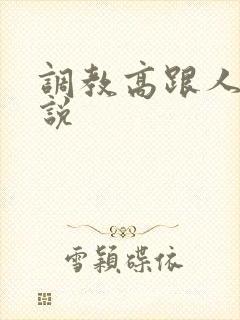 调教高跟人妻小说封面