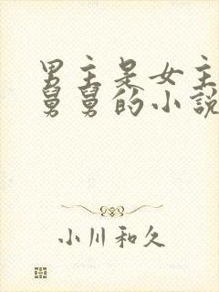 男主是女主的小舅舅的小说