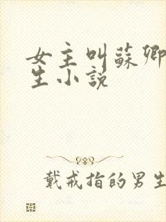 女主叫苏卿的重生小说