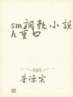 sm调教小说高h重口封面