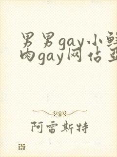 男男gay小鲜肉gay网站亚洲