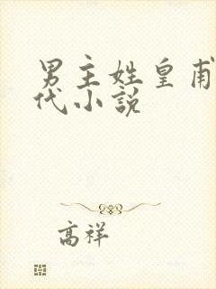 男主姓皇甫的古代小说