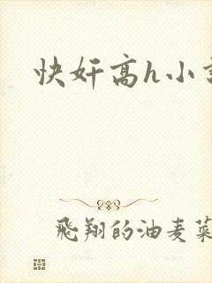 快奸高h小说封面