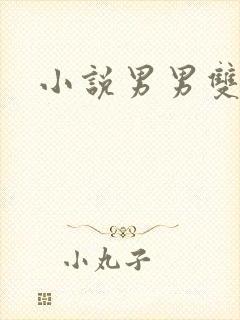 小说男男双性h