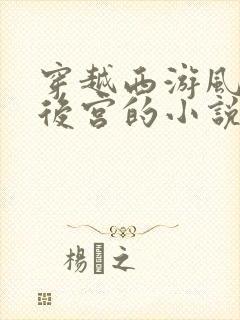 穿越西游风流开后宫的小说