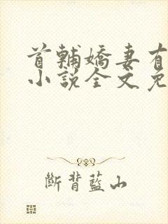 首辅娇妻有空间小说全文免费阅读全文