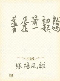 叶辰萧初然最后有在一起吗封面