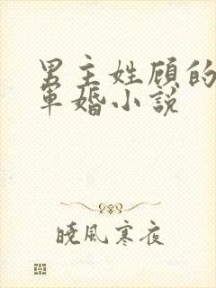 男主姓顾的所有军婚小说