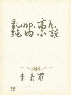 乱np,高h,纯肉小说