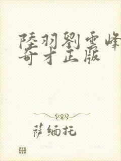 陆羽刘云峰鸿途奇才正版封面